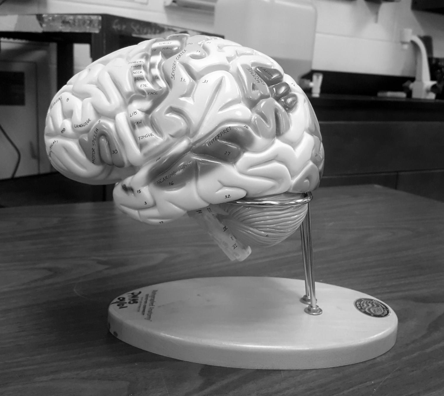 Are schools turning out the light on creativity?