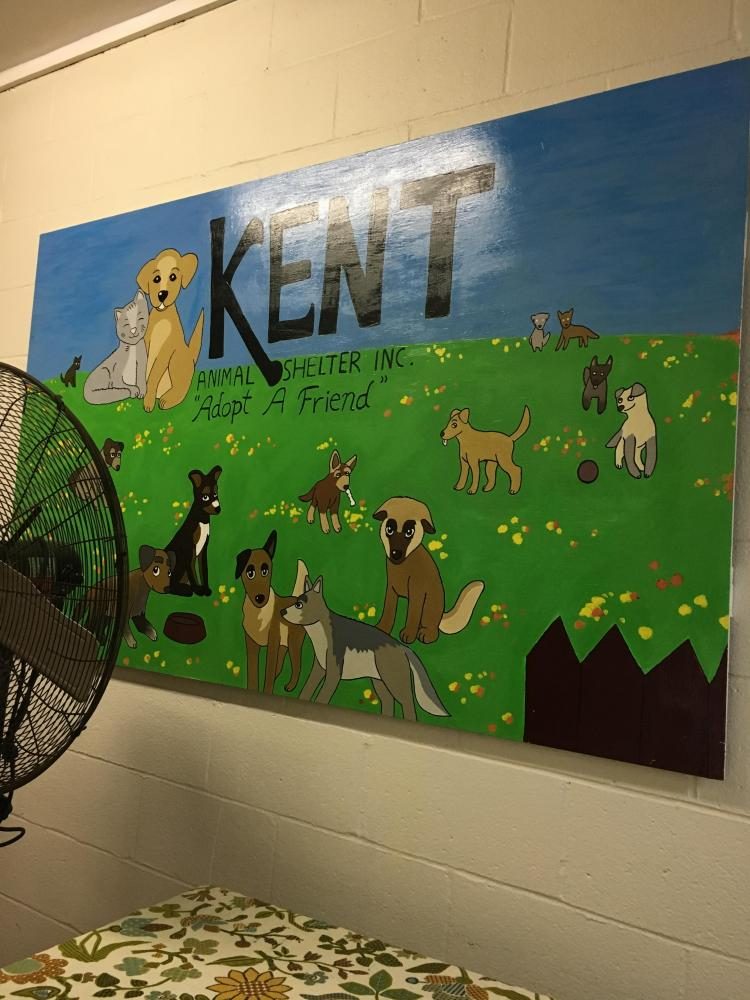 Kent Animal Shelter located at 2259 South River Road in Calverton.