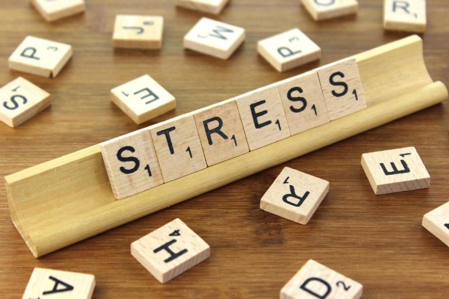 Are teens experiencing an abnormally high level of stress in todays world? 