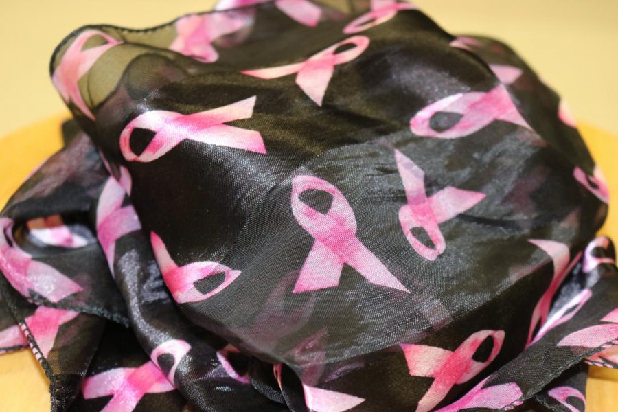 October is Breast Cancer Awareness month bringing light to various causes all in pursuit of the same goal: raise money for research to end breast cancer. 