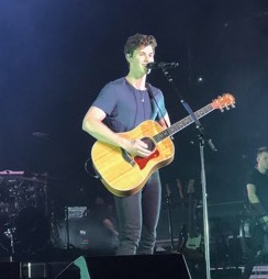Singer-songwriter, Shawn Mendes, live on stage. 