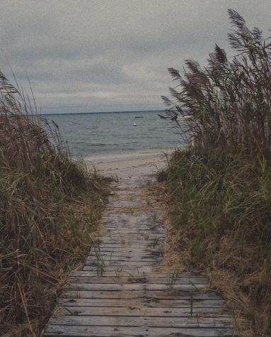 Beach Pollution — the Growing Epidemic