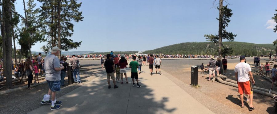 Hundreds are gathered on a hot, summer day to witness the eruption of the Old Faithful geyser at Yellowstone National Park.