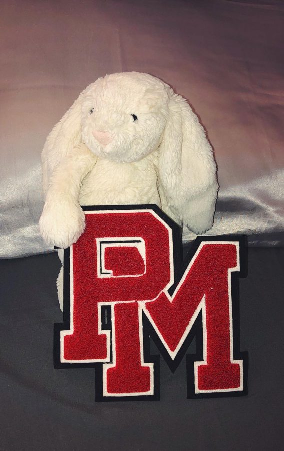 Which mascot would be the best fit for PMHS?