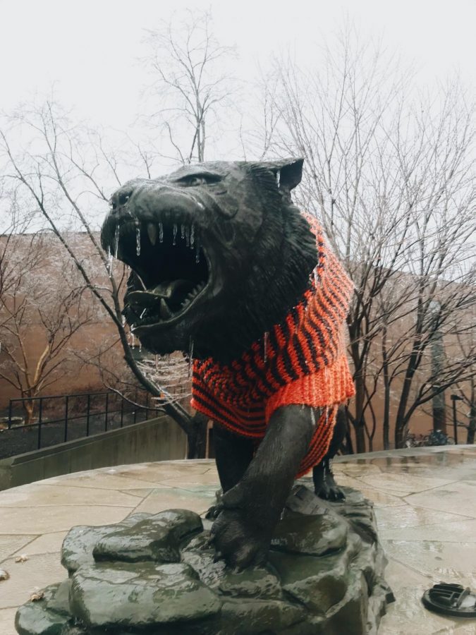 The RIT Bengal tiger mascot, Ritchie braves the winter months in upstate NY - note the icicles forming on his already massive teeth.