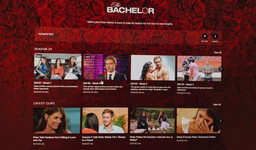 If youre anything like me, youre a Bachelor Nation megafan. Check out my predictions and opinions - dont forget to leave me a comment with yours. 