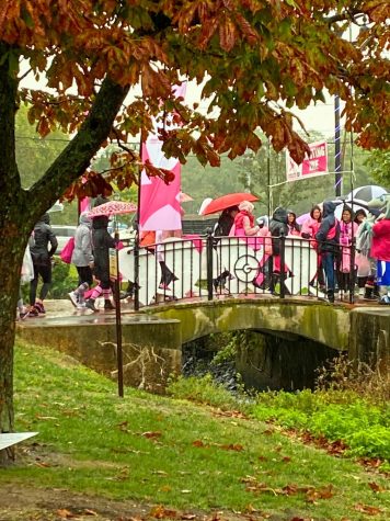Despite the bad weather, Pat Med turned out to support the annual breast cancer walk.