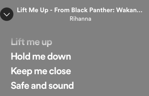 Rihanna recorded a feature song for the new film Wakanda Forever.