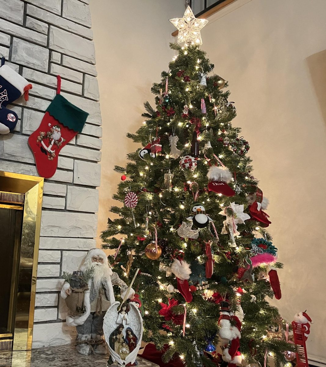 One part of tradition shared by many is the Christmas tree, each with its own origin.
