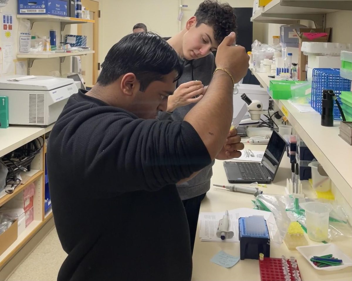 AP Research students, Isaac Varghese and Liam Halpin performing Step 1 of DNA barcoding: extraction. Preparing their lichens by performing a cycle of breaking down their samples into microscopic samples holding DNA, they get ready for Step 2: amplification. 