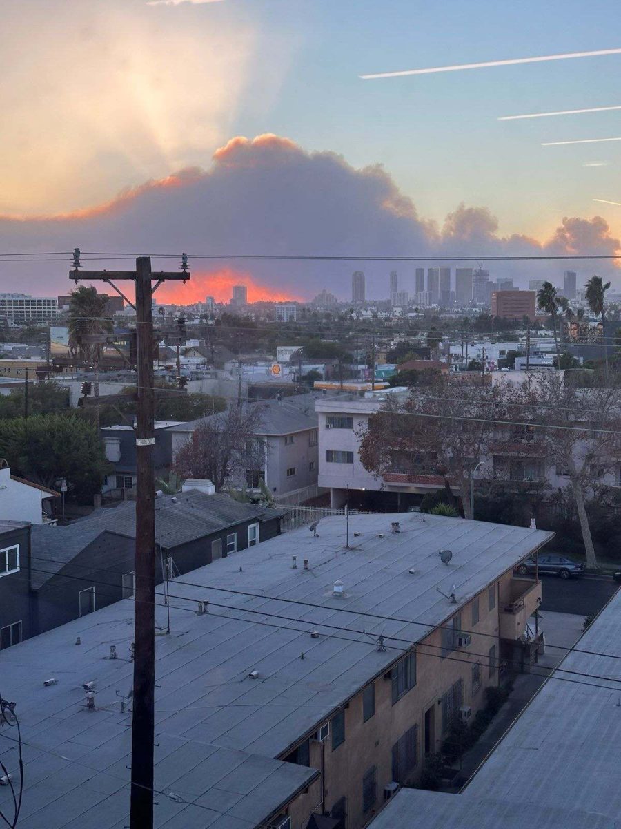 Disaster destroying a community, the continual fires of L.A. photo shared from NYU college student Grace Keating.