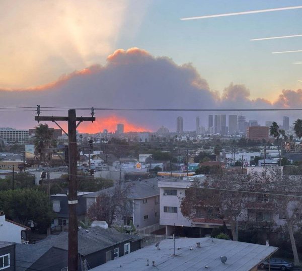 Disaster destroying a community, the continual fires of L.A. photo shared from NYU college student Grace Keating.